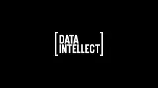 Data Intellect 