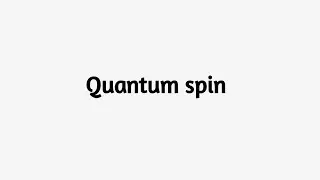 Quantum Spin