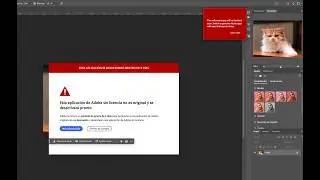Elimina mensaje de adobe genuine 