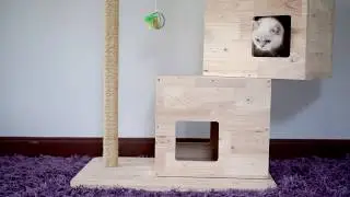 How make cat house // Hand made // Samui