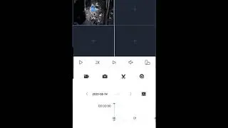 Dahua DMSS playback recording guide