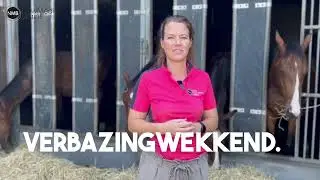 Alles gefilmd MET DE SMARTPHONE voor Bartels Horse & Health Instituut.