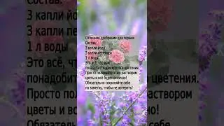 Отличное удобрение для герани #удобрение #герань #растение  #полезнознать #полезныесоветы