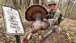 Public Land GOBBLER comes BACK after we MISSED him!!  (Spring Turkey Hunting)