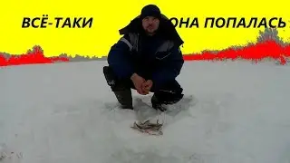 Всё-таки она попалась! Рыбалка на жерлицы.Рыбалка на мормышку.