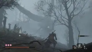 Sekiro: Shadows Die Twice_20240607153122