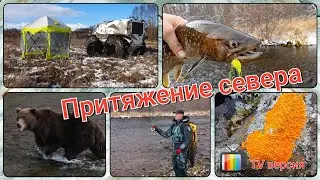Attraction of the North. TV version.