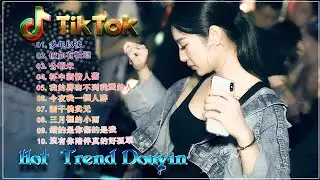 2023最火歌曲DJ Remix 抖音版 【Lyrics/動態歌詞】【KTV字幕】【多年以後 - 假如有輪迴 - 公蝦米 - 杯中酒情人舊】抖音九月熱門歌曲 || Hot TikTok Douyin
