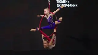 Студия воздушной гимнастики 