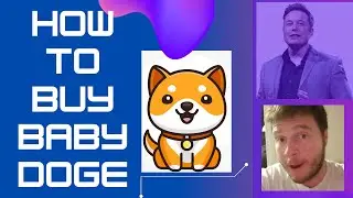 HOW TO BUY BABY DOGE COIN: Trust Wallet/Pancake Swap