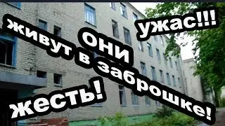 Education in Russia? Closed universities live homeless!