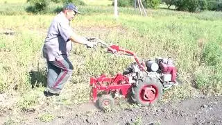 Копаем картошку мотоблоком мотор-сич