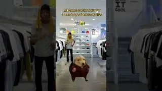 yo [e cholo