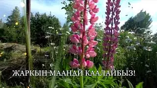 Кутман тан!