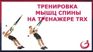 Тренажер TRX  Упражнения для  мышц спины на тренажере ТRX!