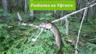 Рыбалка в родных местах.Архангельская область.Поселок Лойга.Река Уфтюга.