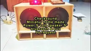 Checksound Power Miniatur