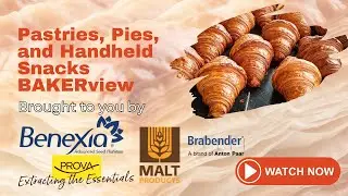 Pastries, Pies and Handheld Snacks | BAKERview Webinar | BAKERpedia