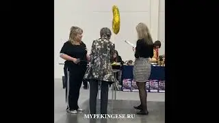 Artemida