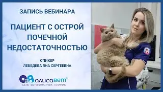 Острая почечная недостаточность у животных