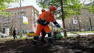 Студенты выполняют работы по благоустройству столицы