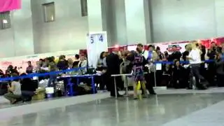 Кобели открытый (2). Россия 2011