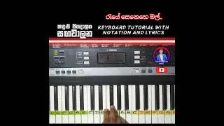 Kadulu Pisadalana (කදුළු පිසදාලන) | Bandara Athauda | Keyboard Cover #shorts #kadulupisadalana