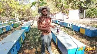 АСАЛАРИНИ ДОРИЛАШНИНГ ҚУЛАЙ УСУЛИ