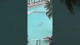 ЛИТВИН В БАССЕЙНЕ В ДОЖДЬ!!!