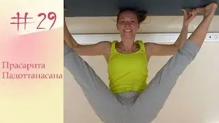 YogaFAQ#29: Наклон Прасарита Падоттанасана (Prasarita Padottanasana)