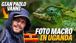 Fotografo di viaggio prova il 100mm f/2.8 Canon Macro!