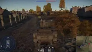 Wt