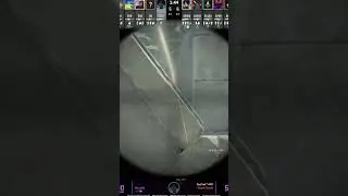 200 IQ NADE Play from ASTRALIS