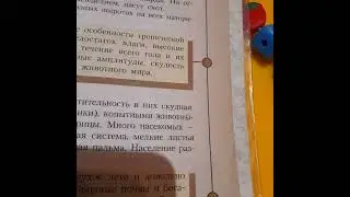 #Саванны