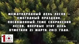 21 марта Международный день лесов