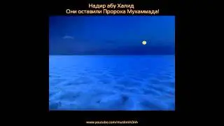 Надир абу Халид Они оставили Пророка Мухаммада саляллаху алейхи уа саллям