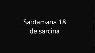 Saptamana 18 de sarcina