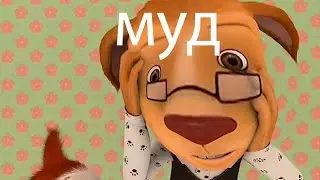 МУД БАРБОСКИНЫ