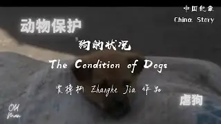 【中国纪事 China Story】狗的状况 The Condition of Dogs (2001) by 贾樟柯
