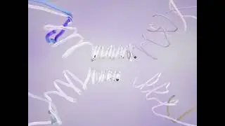 Logo Motion Wires