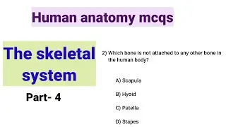 The skeletal system mcqs||skeletal system quiz|| human anatomy mcqs