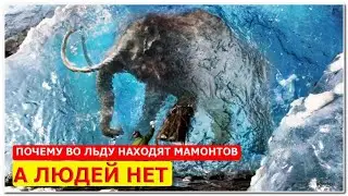Почему в вечной мерзлоте севера находят мамонтов, НО НЕ НАХОДЯТ ЛЮДЕЙ?