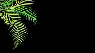 plam leaves black screen | black screen leaves effect | background effect black screen