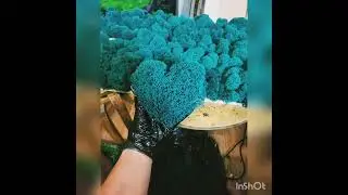 Этот мох покорил мое сердце
