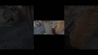 новый баг