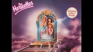 The Hornettes - Shout (1982)
