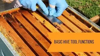 Basic Hive Tool Functions