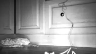Mouse night vision D-Link DCS-942L