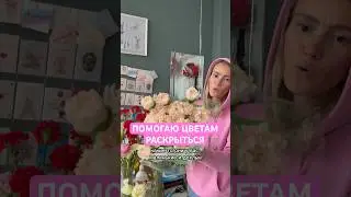 ПОМОГАЮ ЦВЕТАМ РАСКРЫТЬСЯ 😜 а с какими еще цветами возможно такое провернуть? Пиши в комментариях!