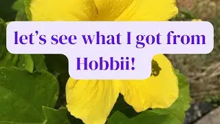 #unboxing